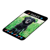 Magnet Flexible Moderne simple Nom et photo de l'animal (Côté Gauche)