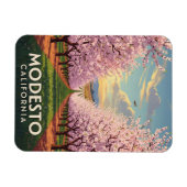 Magnet Flexible Modesto California Central Valley (Horizontal)