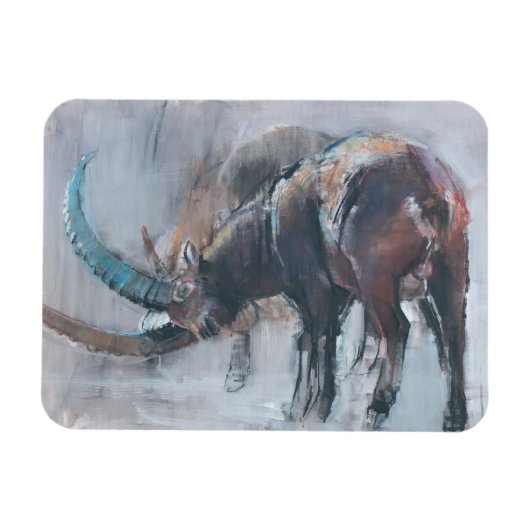 Magnet Flexible Moins vingt (Horizontal)