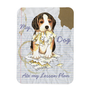 Magnet Flexible Mon Beagle A Mangé Mon plan de leçon