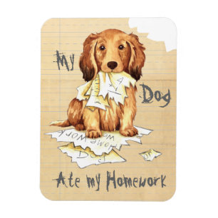 Magnet Flexible Mon Dachshund allongé a mangé mes devoirs