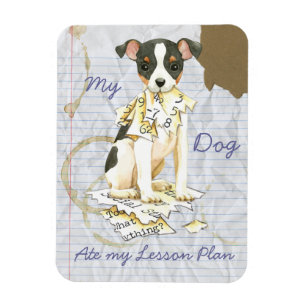 Magnet Flexible Mon Jouet Fox Terrier Ate mon plan de leçon