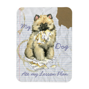 Magnet Flexible Mon Keeshond a mangé mon plan de leçon