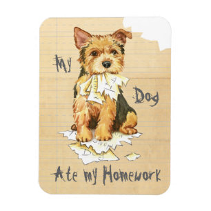 Magnet Flexible Mon Norwich Terrier a mangé mes devoirs