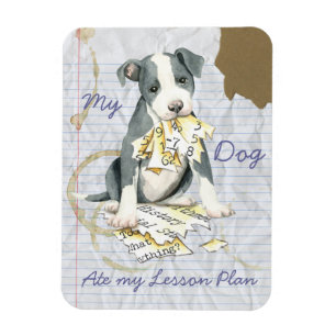 Magnet Flexible Mon Pit Bull Mange Mon plan de leçon