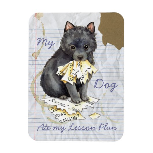 Magnet Flexible Mon Schipperke A Mangé Mon Plan De Leçon (Vertical)