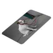 Magnet Flexible Mongrel blanc doux (Côté Gauche)