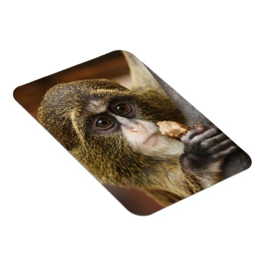 Magnet Flexible Monkey (Côté Droit)