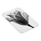 Magnet Flexible Monochrome botanical fine art photograph (Côté Droit)