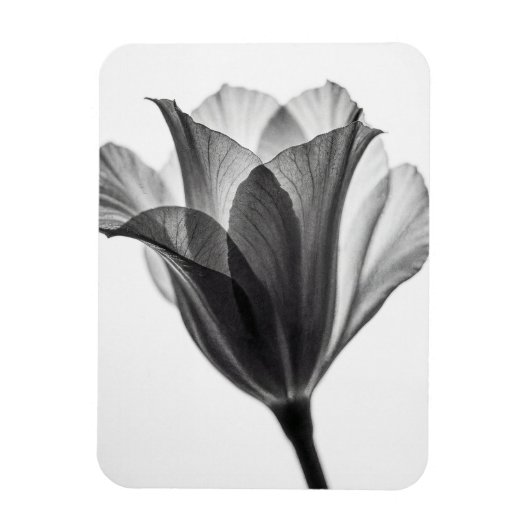 Magnet Flexible Monochrome botanical fine art photograph (Vertical)