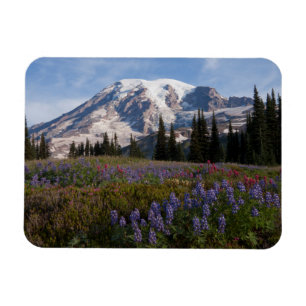 Magnet Flexible Mont Rainier National Park, Mont Rainier 3
