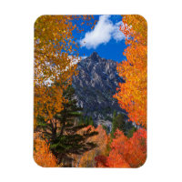 Montagne encadrée par le feuillage d'automne, CA