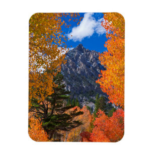 Magnet Flexible Montagne encadrée par le feuillage d'automne, CA