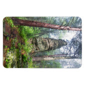 Magnet Flexible Monticule castrée dans la forêt de l'État (Horizontal)