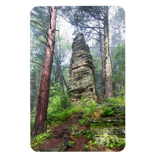 Magnet Flexible Monticule castrée dans la forêt de l'État (Vertical)