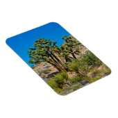 Magnet Flexible Monument national de Gold Butte (Côté Droit)