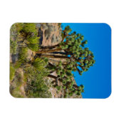 Magnet Flexible Monument national de Gold Butte (Horizontal)