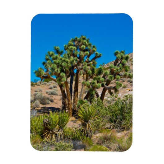 Magnet Flexible Monument national de Gold Butte (Vertical)