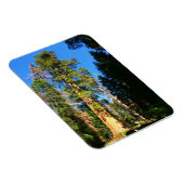 Magnet Flexible Monument national de la Sequoia (Côté Droit)