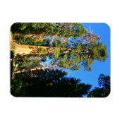 Magnet Flexible Monument national de la Sequoia (Horizontal)