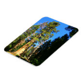 Magnet Flexible Monument national de la Sequoia (Côté Gauche)