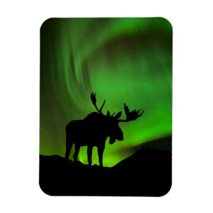Magnet Flexible Moose with Green Aurora Borealis, Alaska