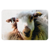 MAGNET FLEXIBLE MOQUETTE (Horizontal)