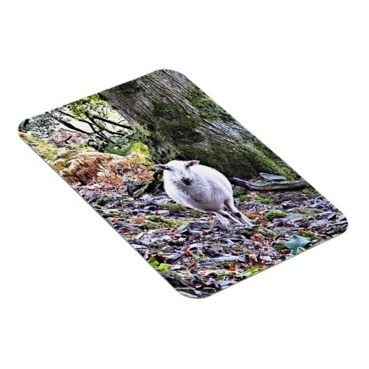 MAGNET FLEXIBLE MOQUETTE (Côté Droit)