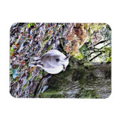 MAGNET FLEXIBLE MOQUETTE (Horizontal)