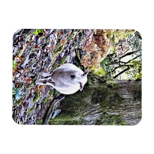 MAGNET FLEXIBLE MOQUETTE (Horizontal)