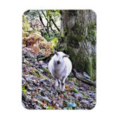 MAGNET FLEXIBLE MOQUETTE (Vertical)