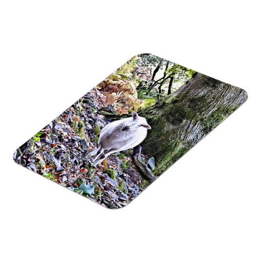 MAGNET FLEXIBLE MOQUETTE (Côté Gauche)