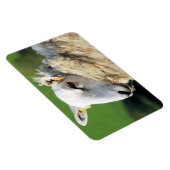 MAGNET FLEXIBLE MOQUETTE (Côté Droit)