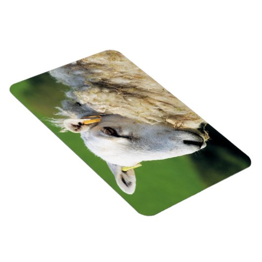 MAGNET FLEXIBLE MOQUETTE (Côté Droit)