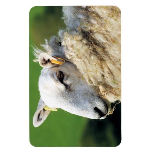 MAGNET FLEXIBLE MOQUETTE (Vertical)