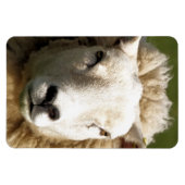 MAGNET FLEXIBLE MOQUETTE (Horizontal)