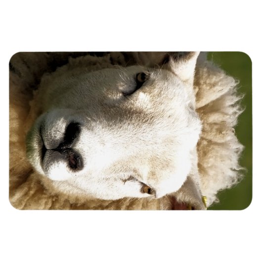 MAGNET FLEXIBLE MOQUETTE (Horizontal)