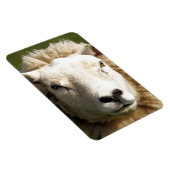 MAGNET FLEXIBLE MOQUETTE (Côté Droit)