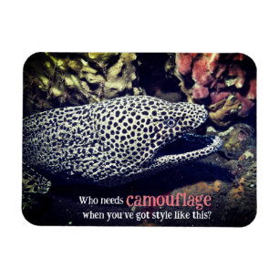 Magnet Flexible Moray tacheté sous l'eau