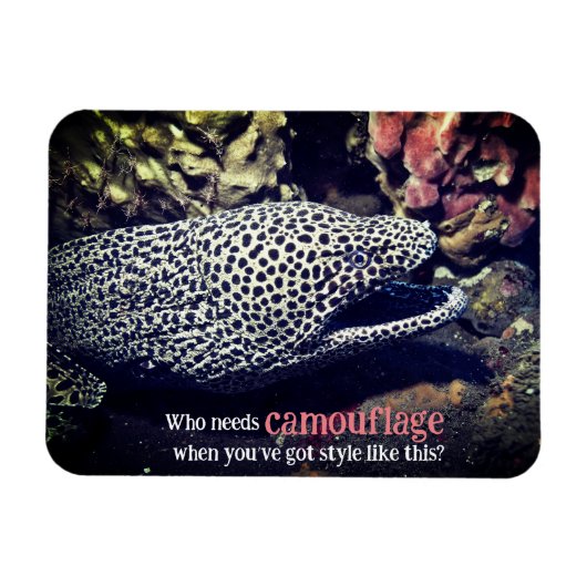 Magnet Flexible Moray tacheté sous l'eau (Horizontal)