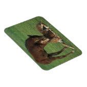 Magnet Flexible Morgan Foals joue (Côté Droit)