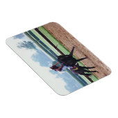 Magnet Flexible Morning Work Out - cheval de course aimant (Côté Droit)