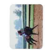 Magnet Flexible Morning Work Out - cheval de course aimant (Vertical)