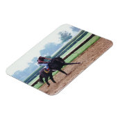 Magnet Flexible Morning Work Out - cheval de course aimant (Côté Gauche)