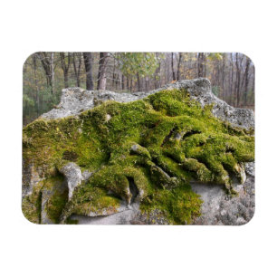 Magnet Flexible Mossy Broken Headstone