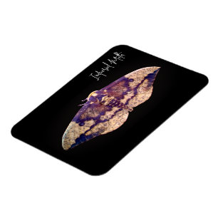 Magnet Flexible Moth impériale