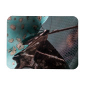 Magnet Flexible Moth papillon tropical (Horizontal)