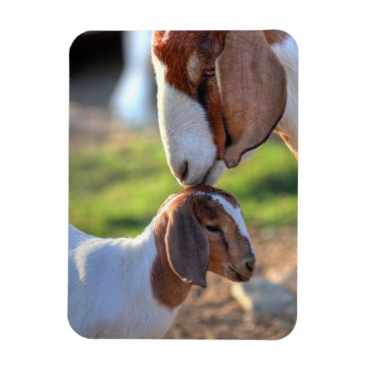 Magnet Flexible Mother Goat et bébé (Vertical)