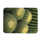 Magnet Flexible Motif de cactus (Horizontal)