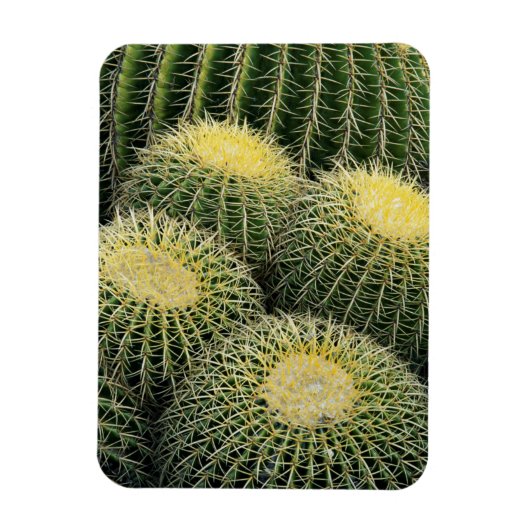 Magnet Flexible Motif de cactus (Vertical)